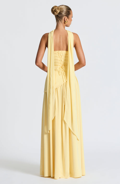 Mia - Elegant Backless Pleated Maxi Dress