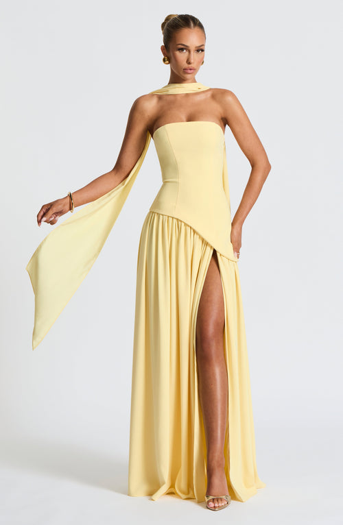 Mia - Elegant Backless Pleated Maxi Dress